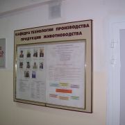 объемный стенд_3.JPG